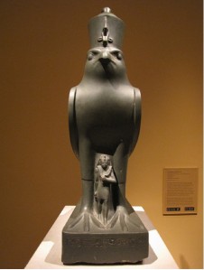 Egyptian falcon