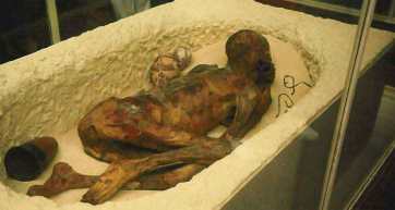 Early Kamitic Mummies